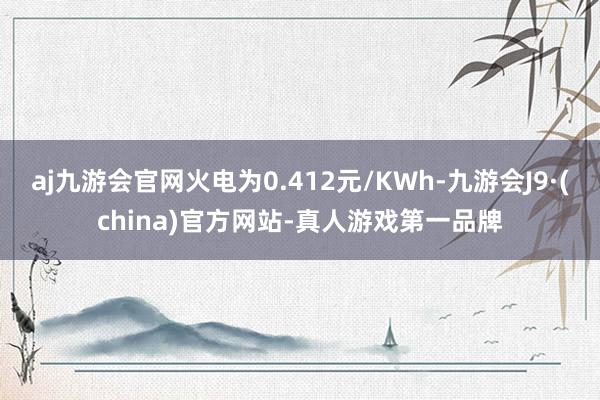 aj九游会官网火电为0.412元/KWh-九游会J9·(china)官方网站-真人游戏第一品牌