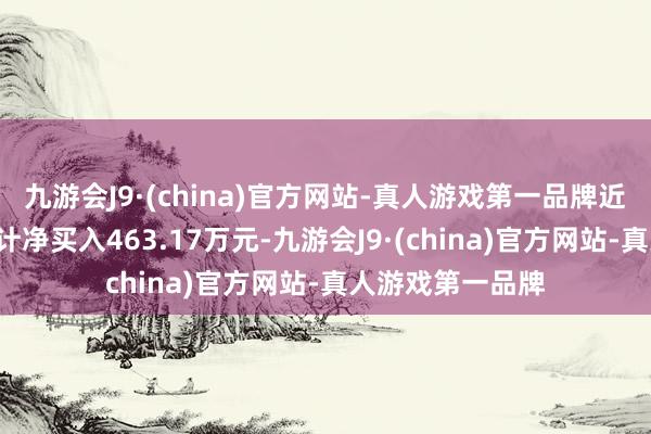 九游会J9·(china)官方网站-真人游戏第一品牌近5日北上资金累计净买入463.17万元-九游会J9·(china)官方网站-真人游戏第一品牌