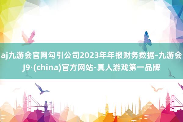 aj九游会官网勾引公司2023年年报财务数据-九游会J9·(china)官方网站-真人游戏第一品牌