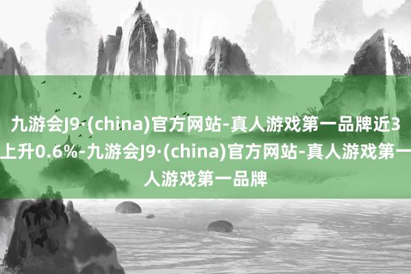 九游会J9·(china)官方网站-真人游戏第一品牌近3个月上升0.6%-九游会J9·(china)官方网站-真人游戏第一品牌